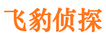 元氏捉小三公司